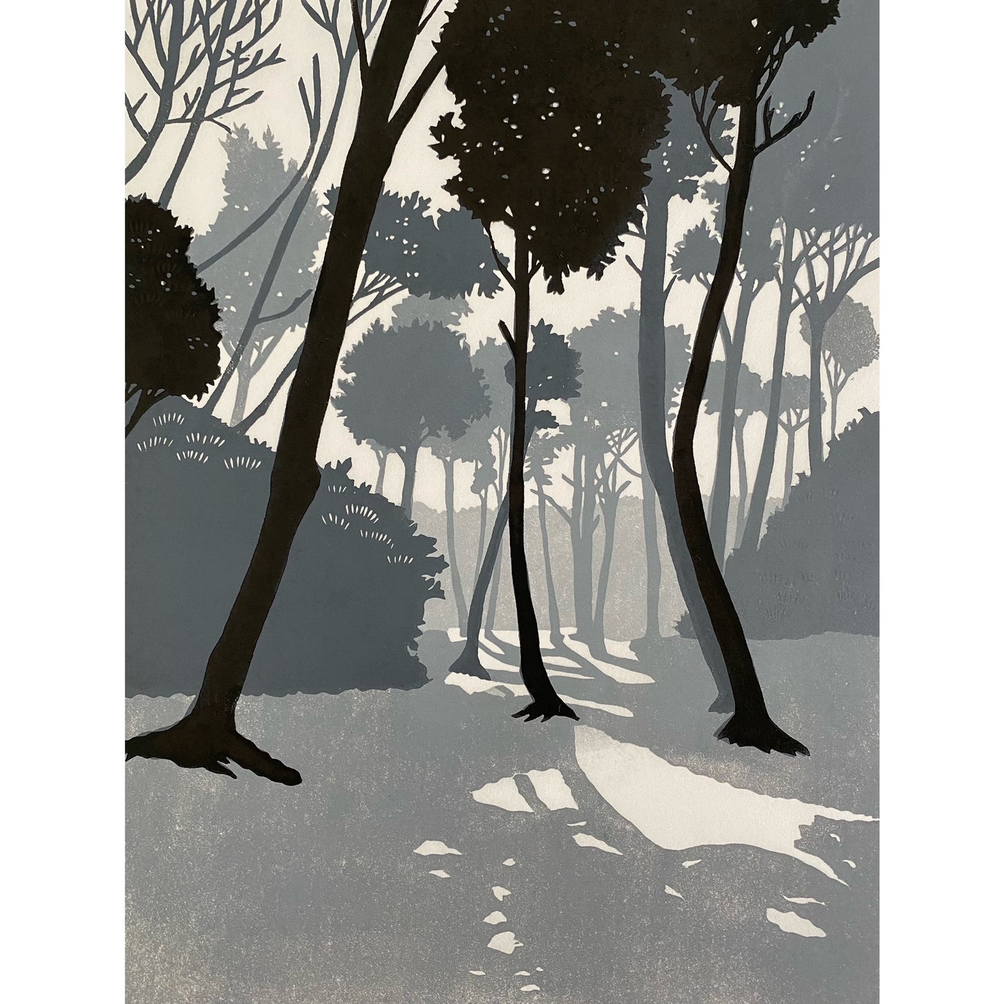 AMH385 Gray Forest