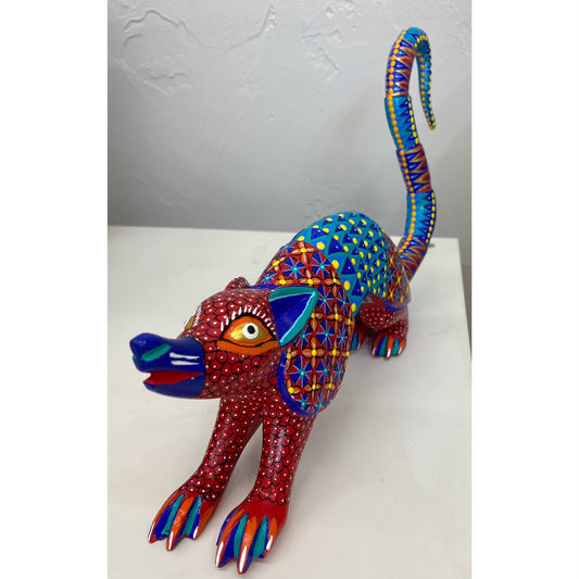 IR01 Oaxacan Armadillo