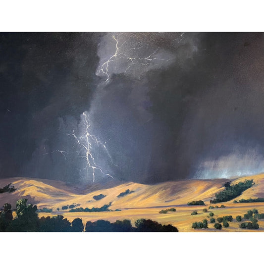 MS25BM2 Unexpected Valley Storm