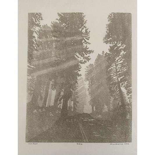 AMH384 Sunrays