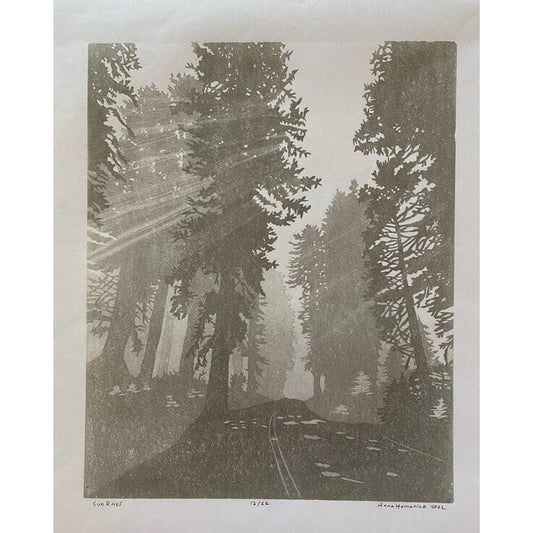 AMH328 Sunrays
