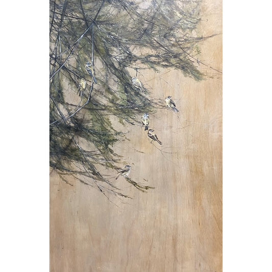 DM127 Flycatchers in the Branches