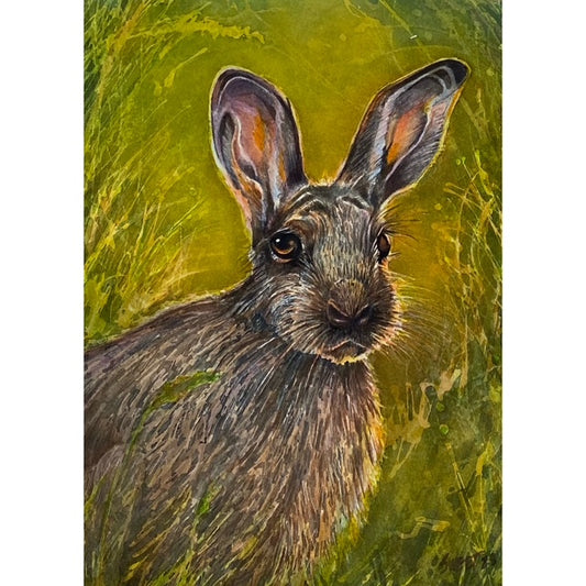 SS965 JackRabbit